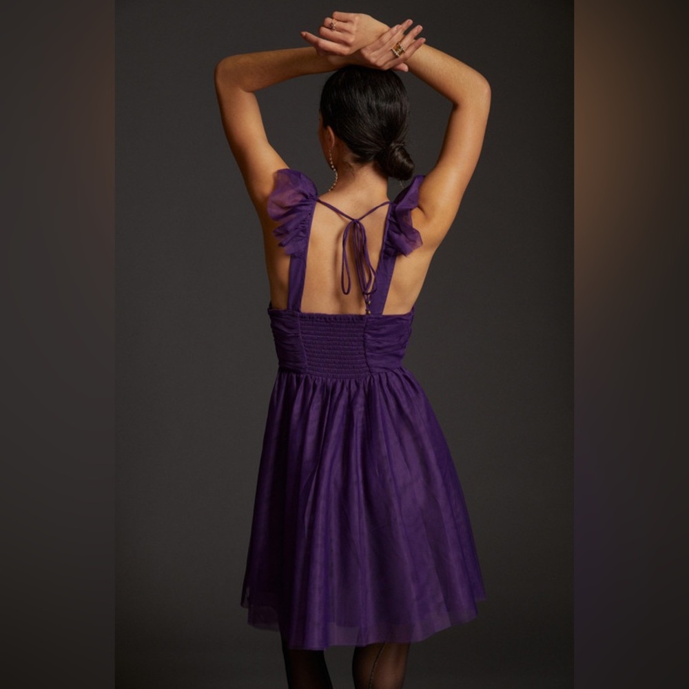 Anthropologie Ruffled Tulle‎ Mini Dress - Picture 7 of 16